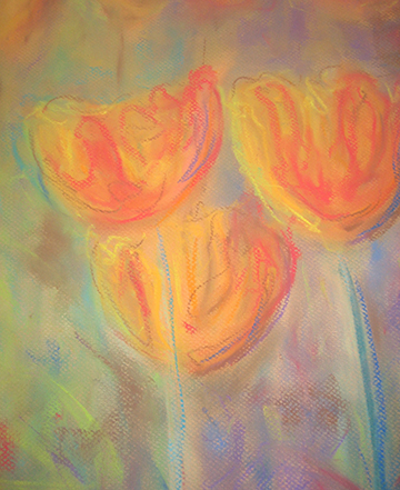 Peaceful Poppies